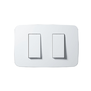Interruptor doble
