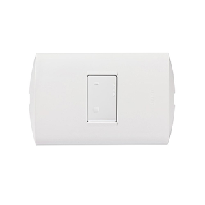 Interruptor simple